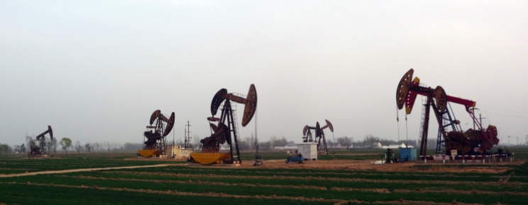 Oil in the ground